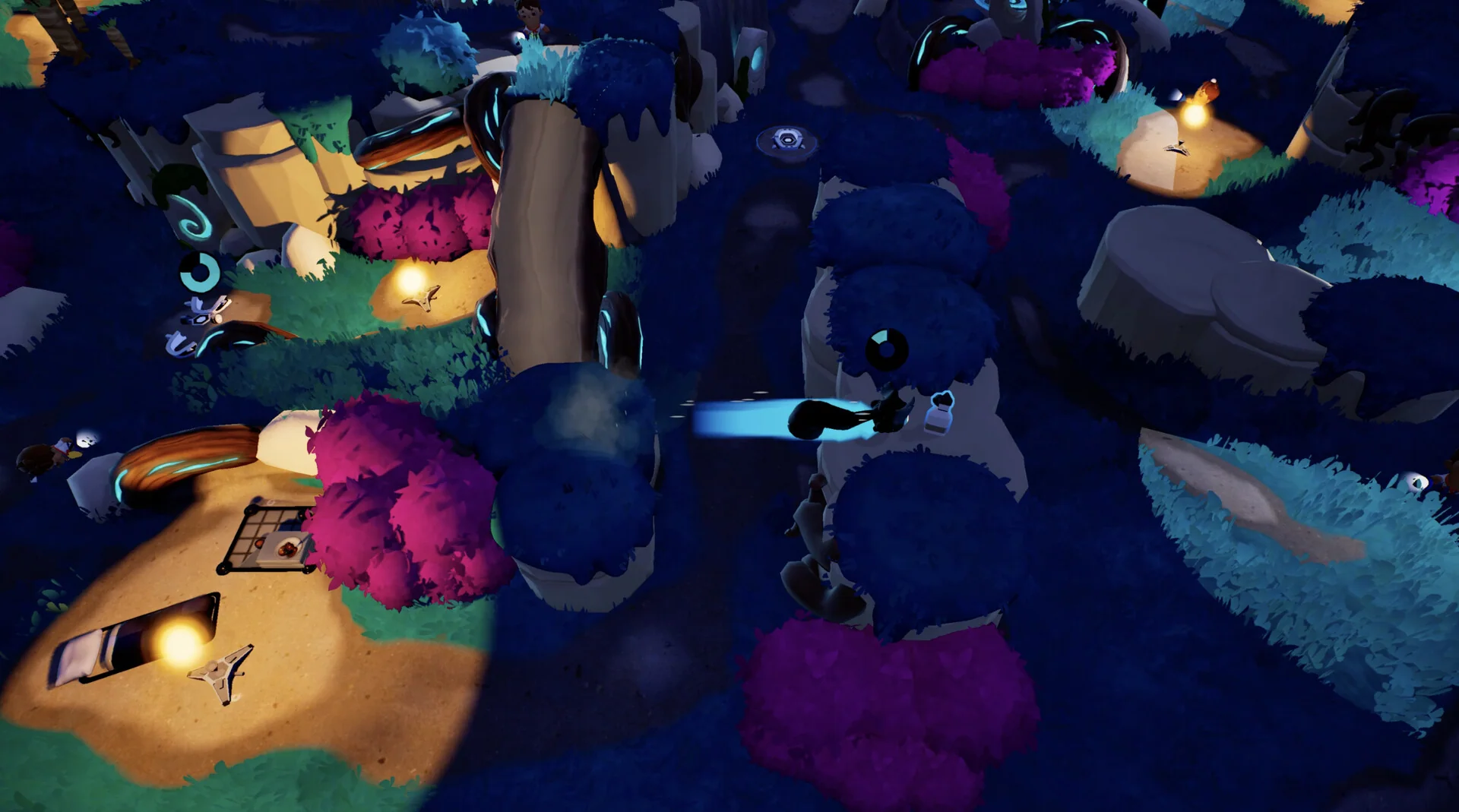 Forest